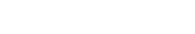NYU Partner Logo